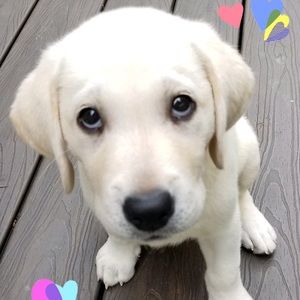 Meet your Posher, Fern